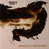 SST - Stepping Through Shadows (Ohm Resistance 13MOHM, 2010, CD)