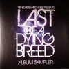 various artists - Last Of A Dying Breed LP Sampler (Renegade Hardware HWARE16, 2010, vinyl 12'')