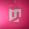 Spectrasoul - Lost Disciple / Reminiscence (Shogun Audio SHA042, 2011, vinyl 12'')