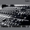 various artists - Fokuz & Friendz Volume 1 (Fokuz Recordings FOKUZFRIENDZ001, 2011, file)