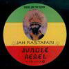 Congo Natty - Giving Jah The Glory LP (Jungle Rebel GLORYLP, 2001, vinyl 4x12'')
